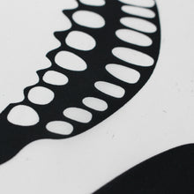 Load image into Gallery viewer, 3x5ft Skull and Cross bones Jolly Roger Flag